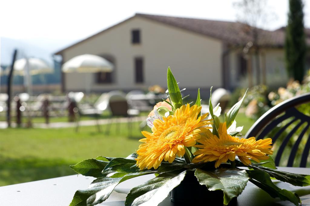 Agriturismo Le Rondini Di Francesco Di Assisi Cannara Bagian luar foto