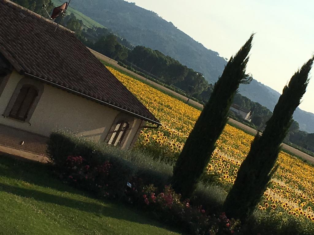 Agriturismo Le Rondini Di Francesco Di Assisi Cannara Bagian luar foto